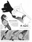 Dugena 1956 0.jpg